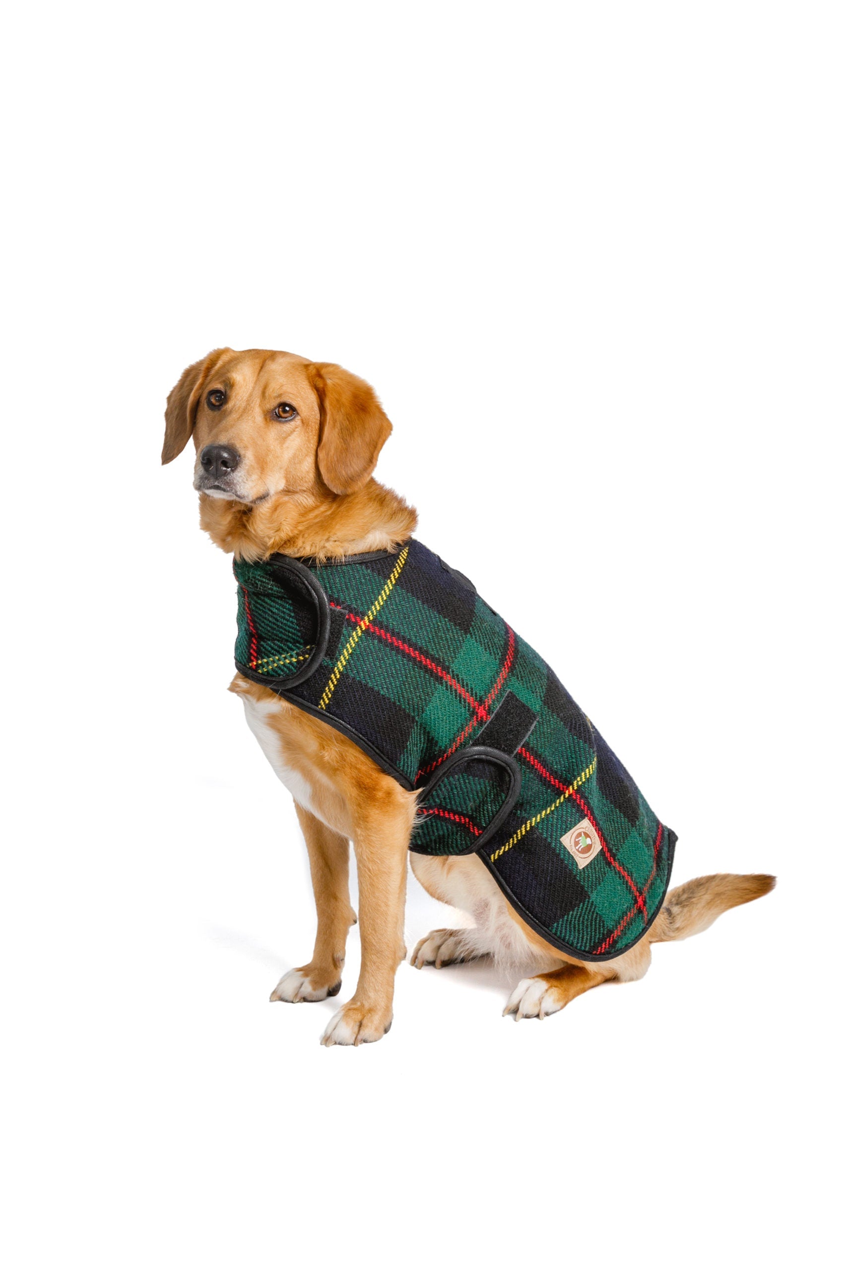 Chilly Dog Navy Tartan Plaid Wool Blanket Dog Coat