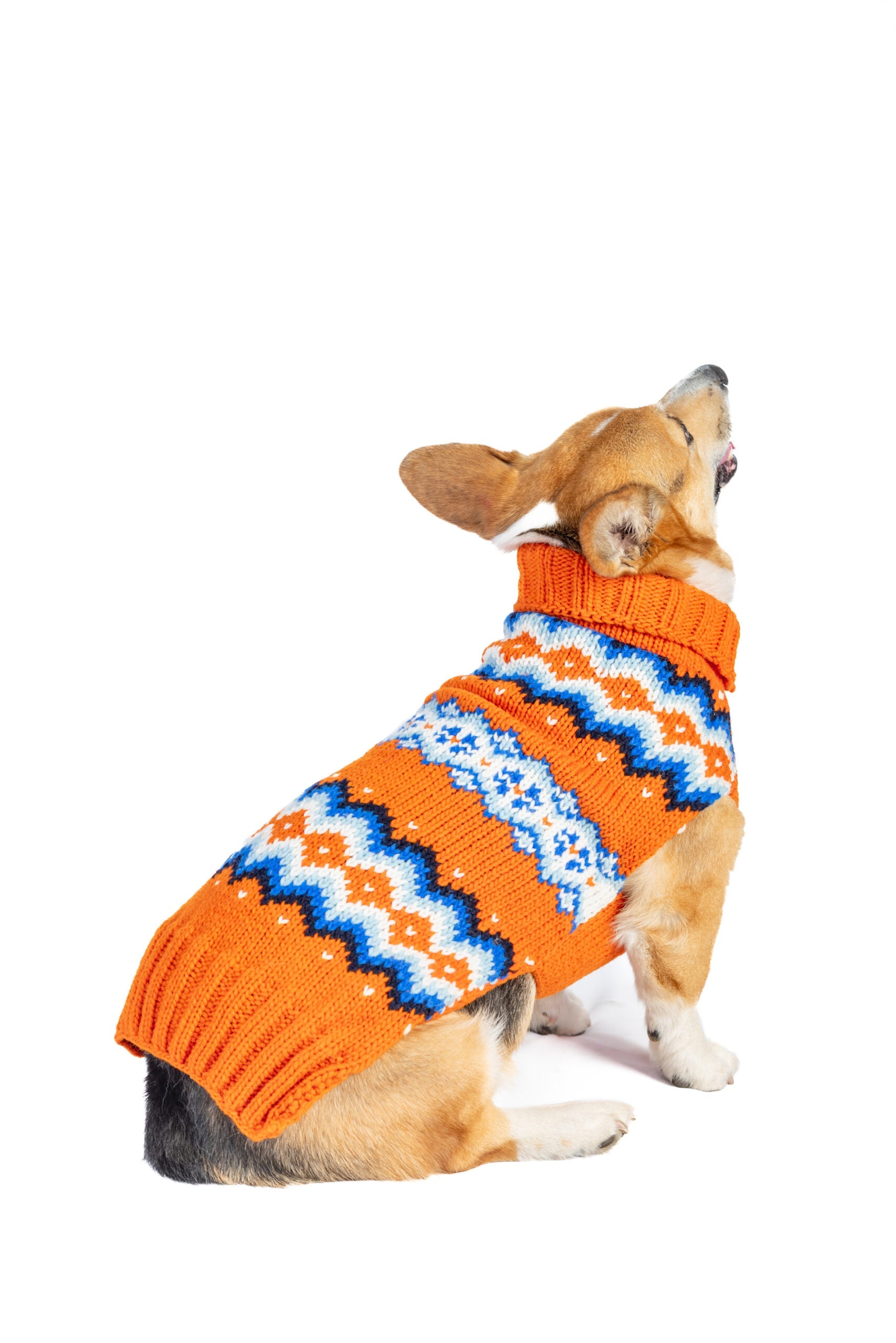 Campfire Dog Sweater