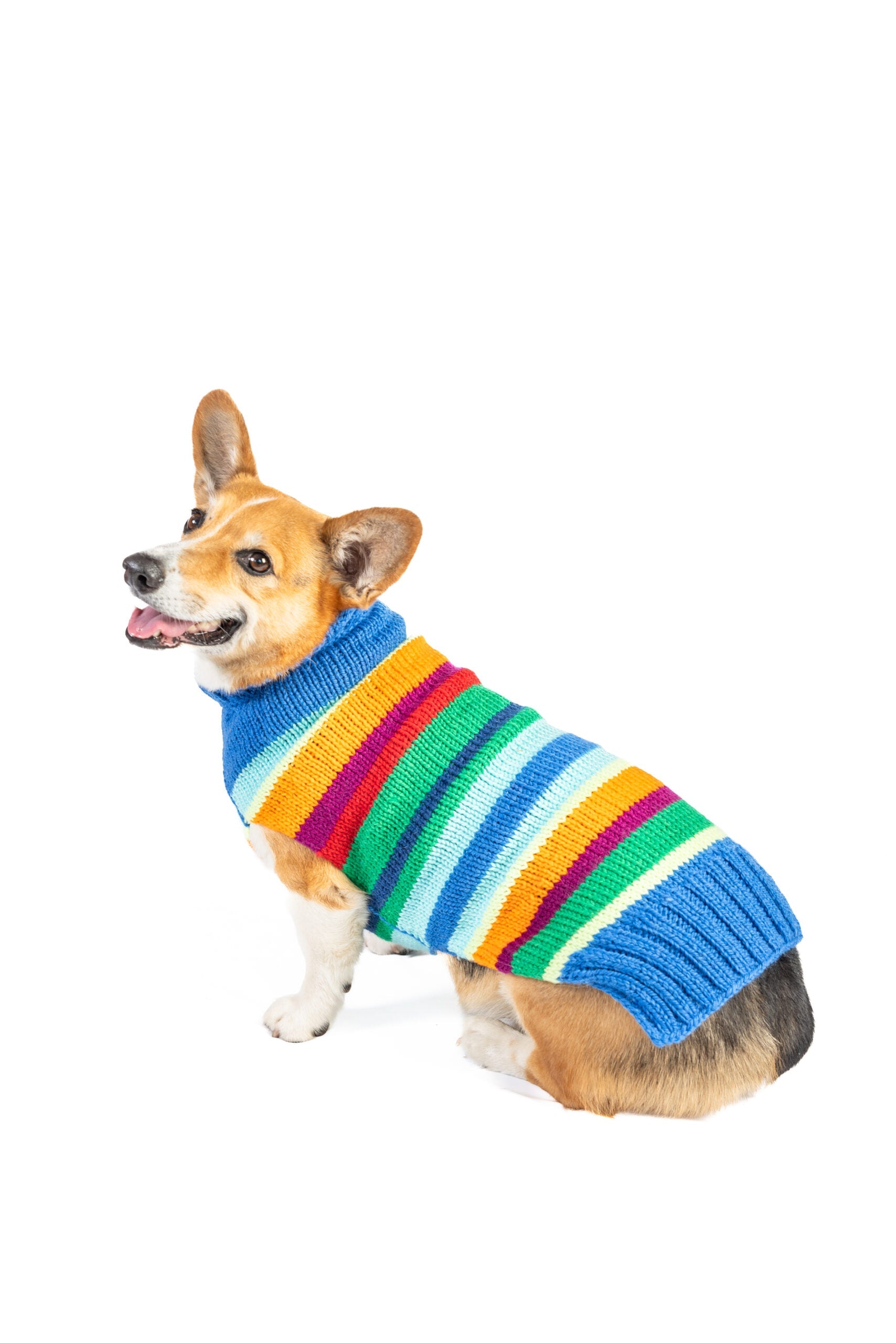 Alpaca Royal Stripe Dog sweater