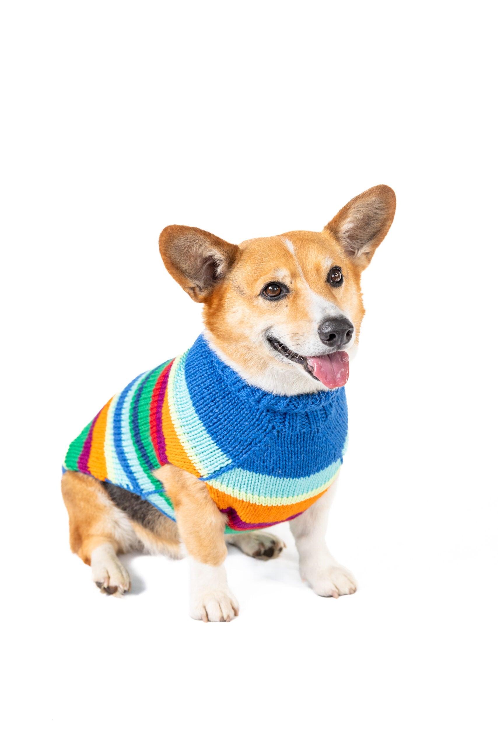 Alpaca Royal Stripe Dog sweater