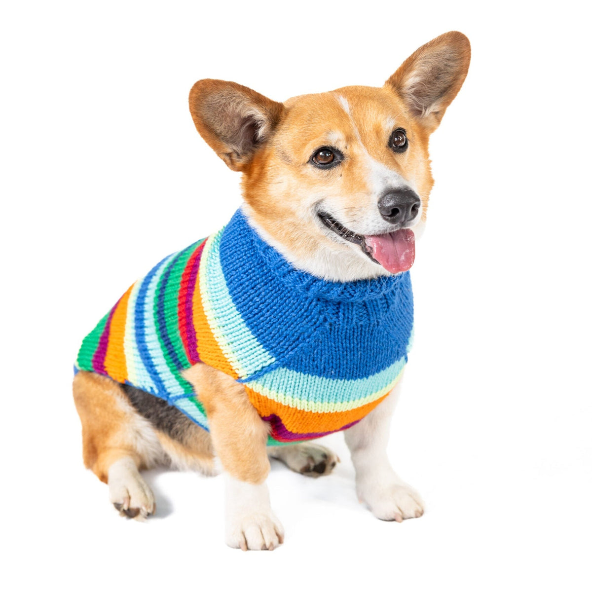 Chilly Dog Alpaca Royal Stripe Dog Sweater