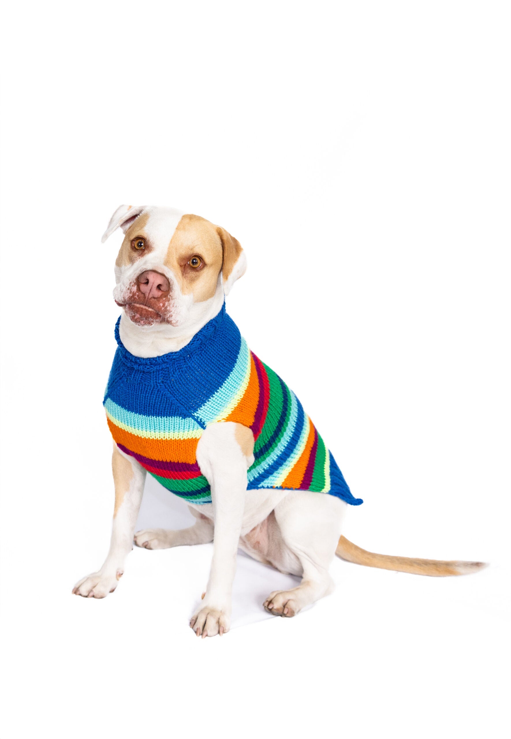 Alpaca Royal Stripe Dog sweater
