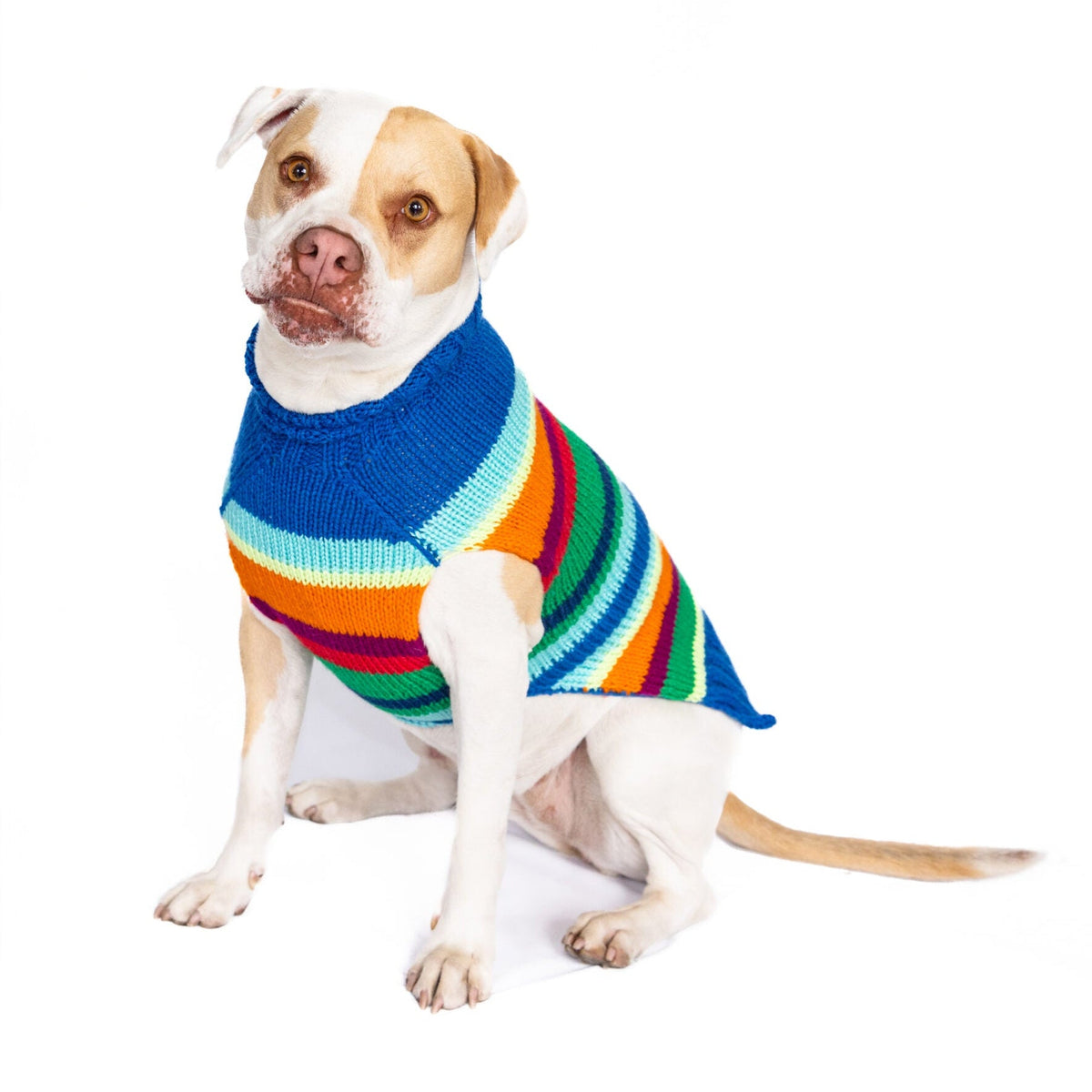 Chilly Dog Alpaca Royal Stripe Dog Sweater