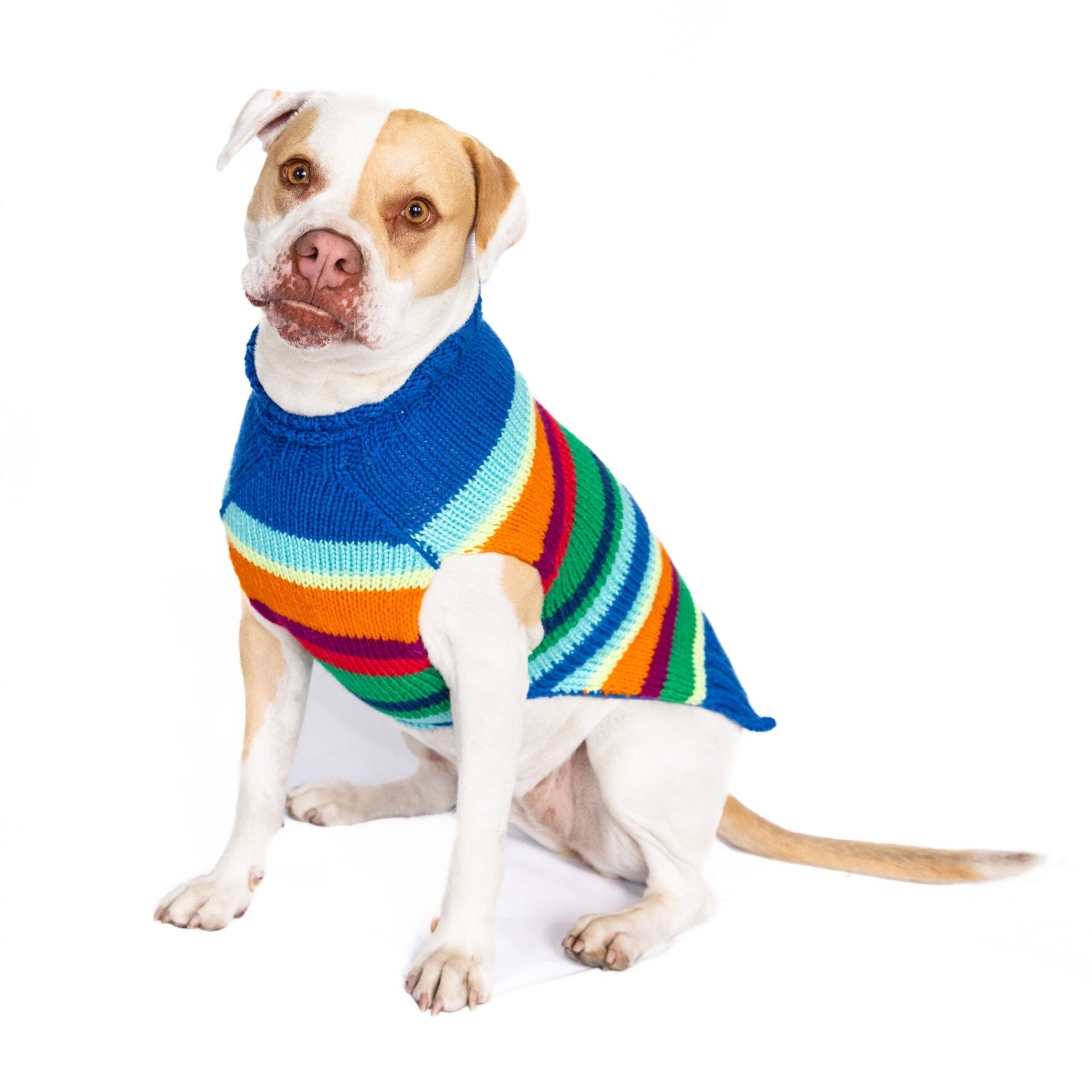 Chilly Dog Alpaca Royal Stripe Dog Sweater