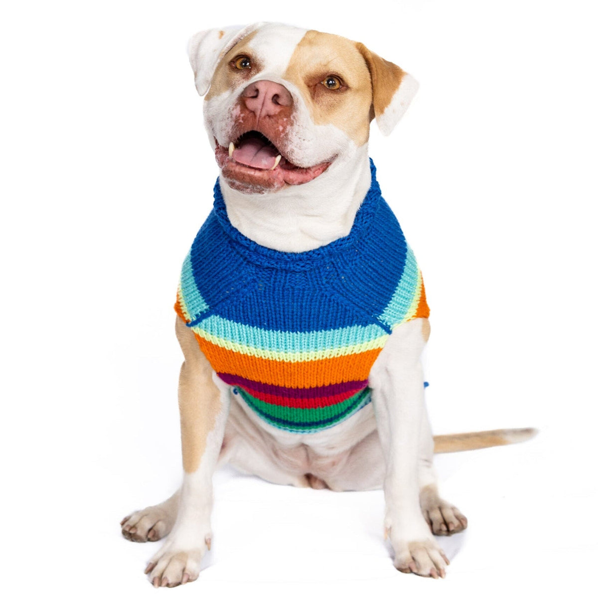 Chilly Dog Alpaca Royal Stripe Dog Sweater