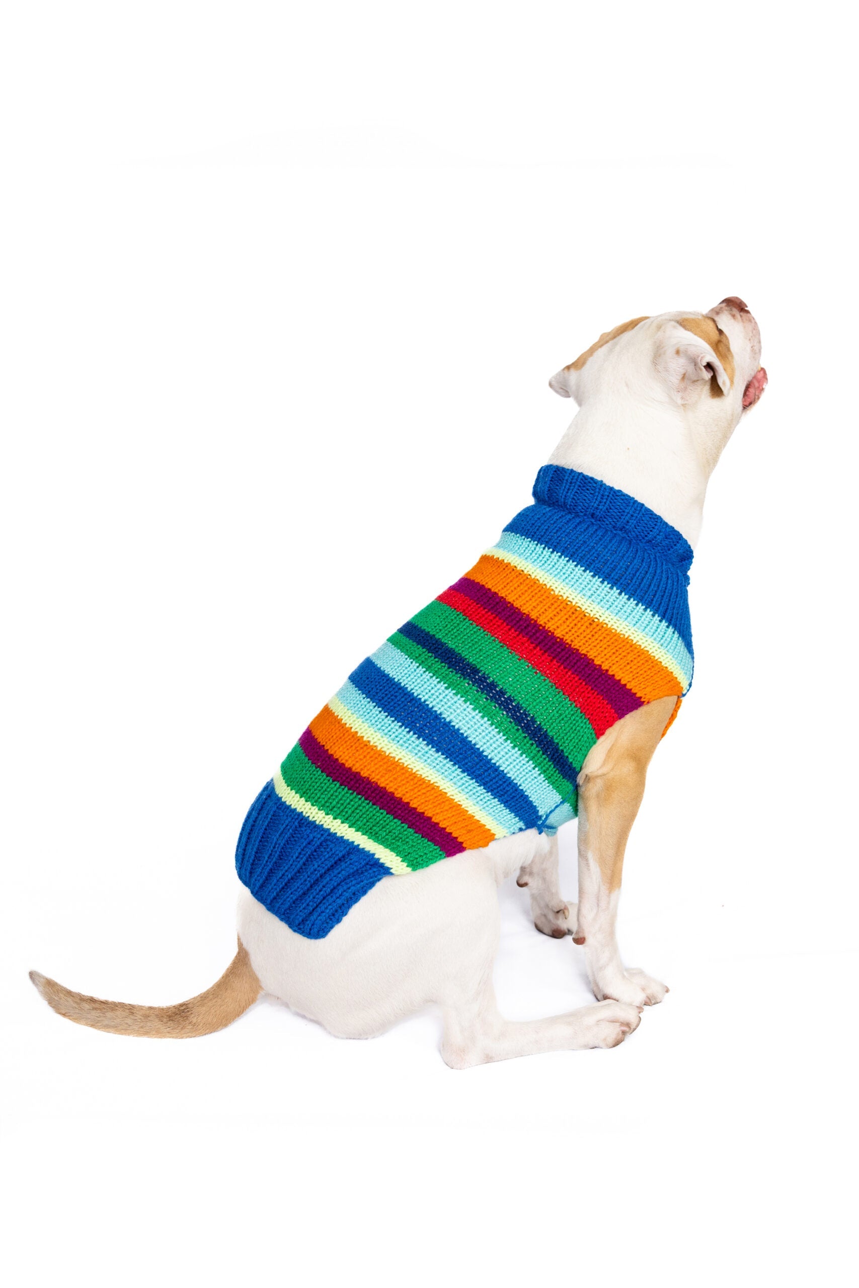 Alpaca Royal Stripe Dog sweater