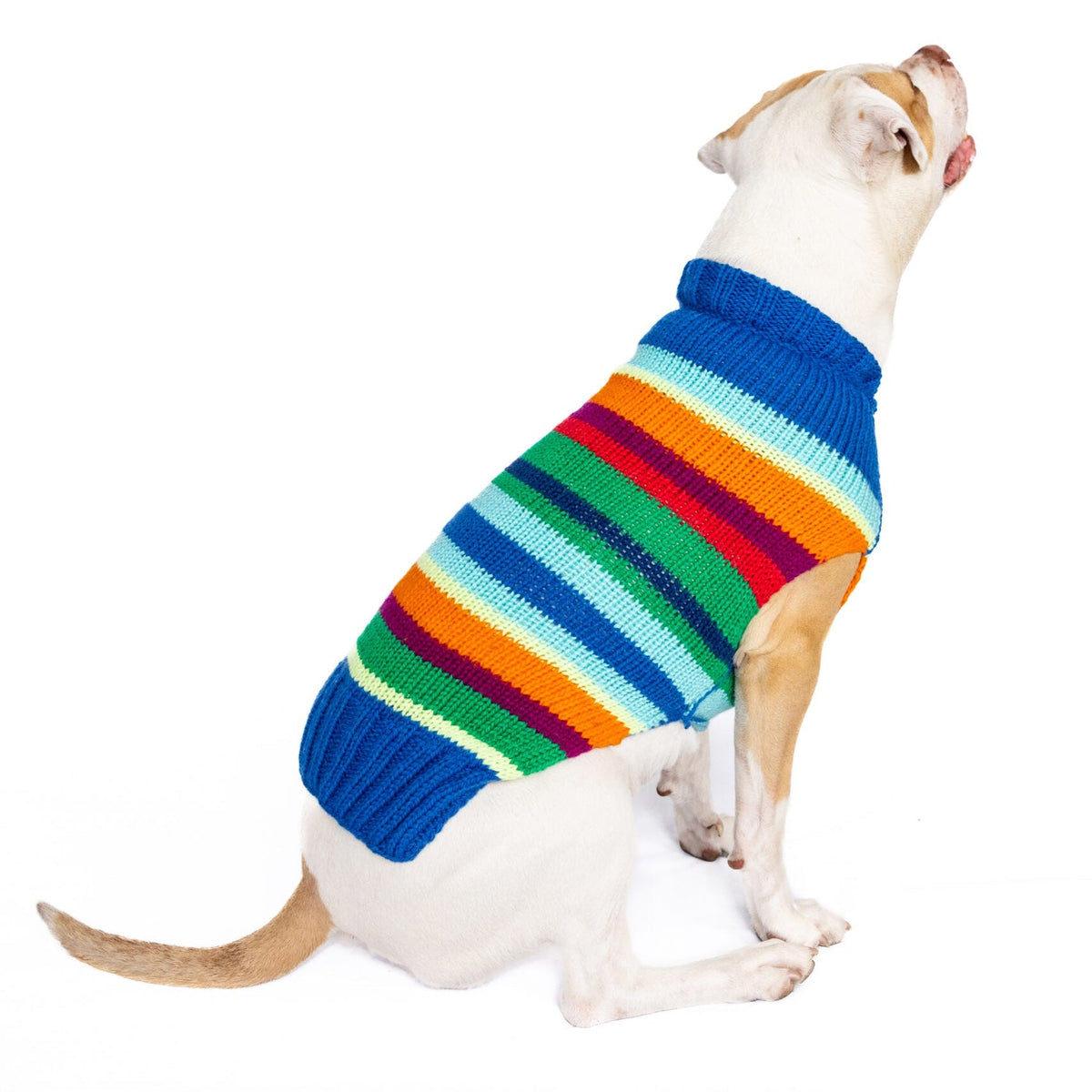 Chilly Dog Alpaca Royal Stripe Dog Sweater