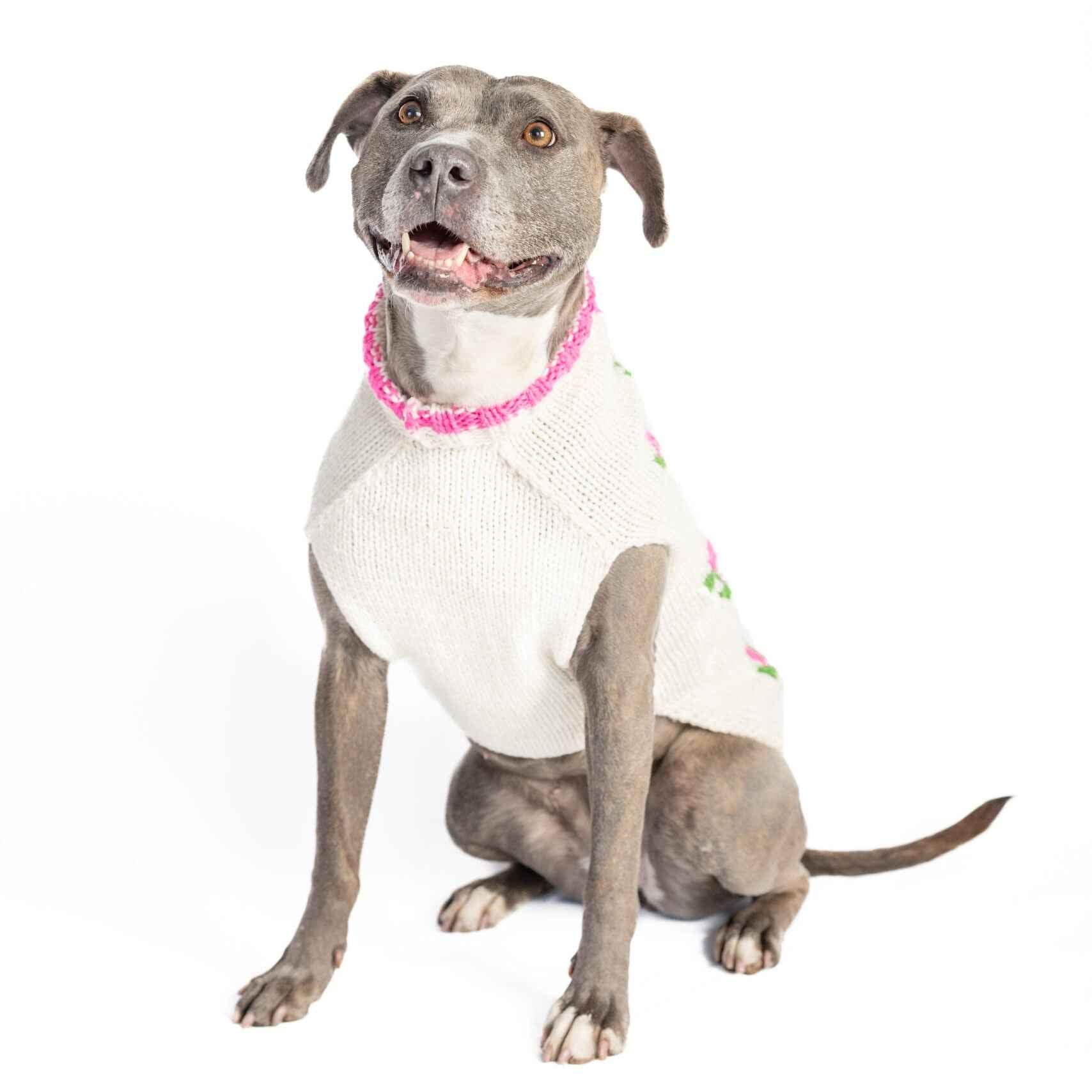 Chilly Dog Rose Bud Knit Wool Dog Sweater