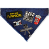 Hollywood Special Denim Bandana