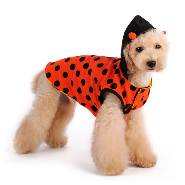 DOGO Ladybug Bumblebee Reversible Dog Hoodie