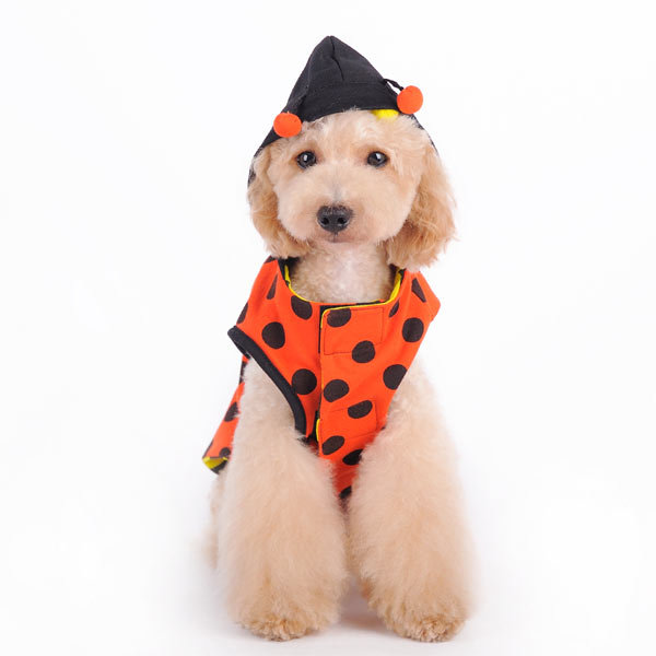 DOGO Ladybug Bumblebee Reversible Dog Hoodie