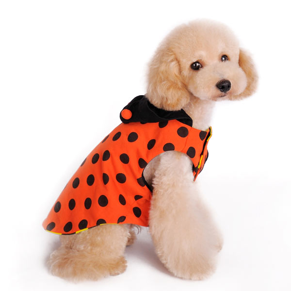 DOGO Ladybug Bumblebee Reversible Dog Hoodie