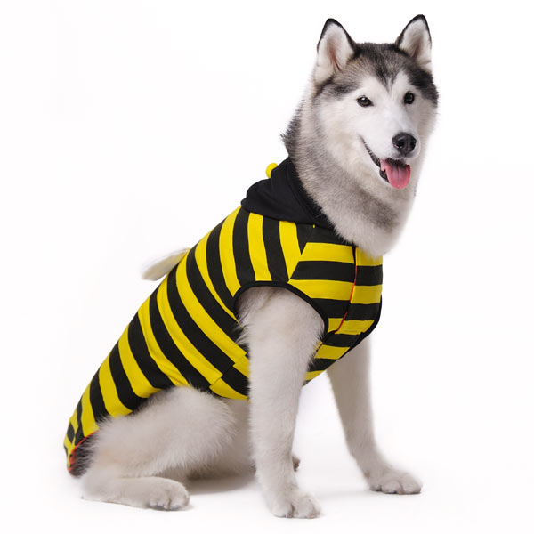 DOGO Ladybug Bumblebee Reversible Dog Hoodie
