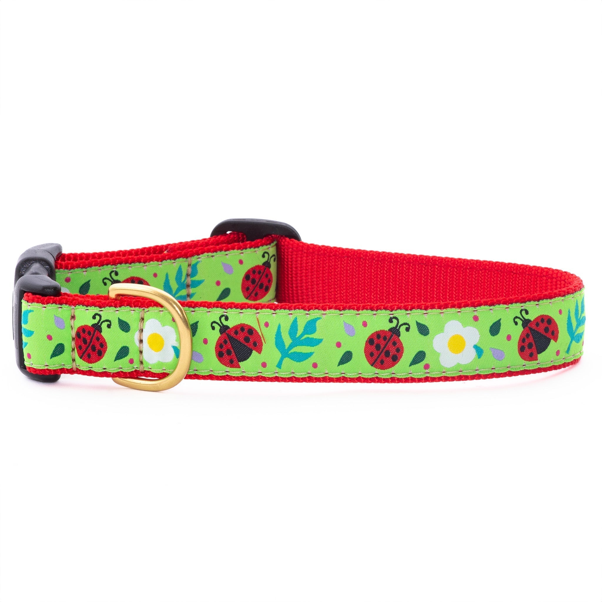 Ladybugs Wide Dog Collar