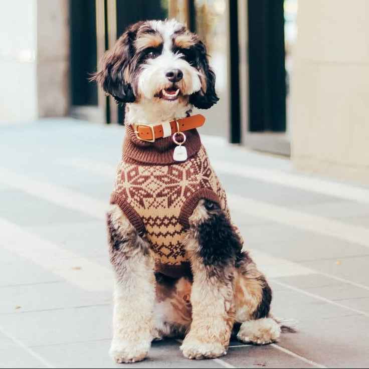 The Latte | Beige Turtleneck Dog Sweater