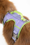 Lavender Garden Ultimate Dog Harness