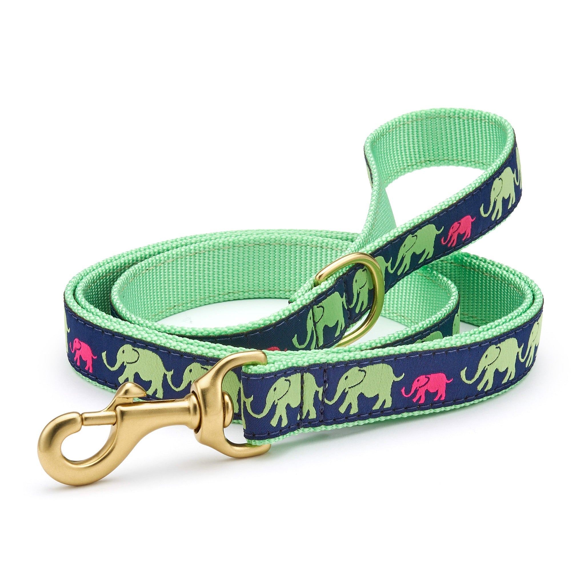 Leader of the Pach Dog Lead