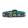 Up Country Leader of the Pach Small Breed Dog Collar Made in USA