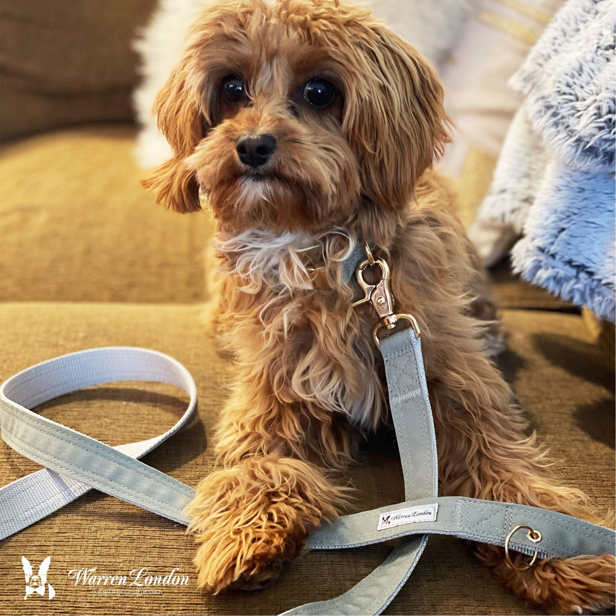 Fabric Dog Leash - Grey