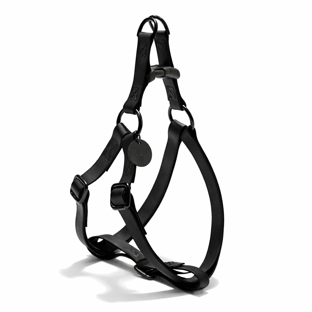 Found My Animal Leather Alternative All-Weather Cotton Dog & Cat Harness – Matte Black Hardware, Adjustable, Durable & Stylish