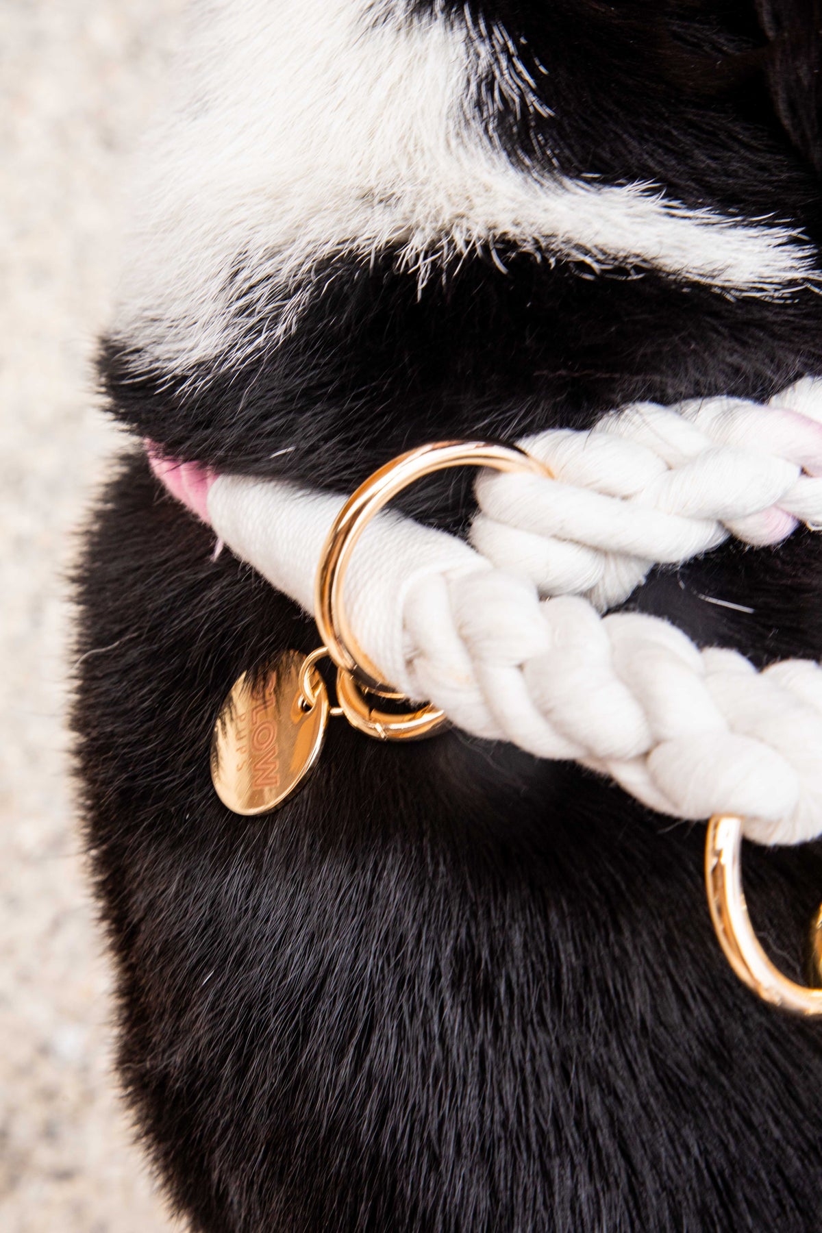 Glow Pups: Pink and White Tie Dye Slip Dog Collar