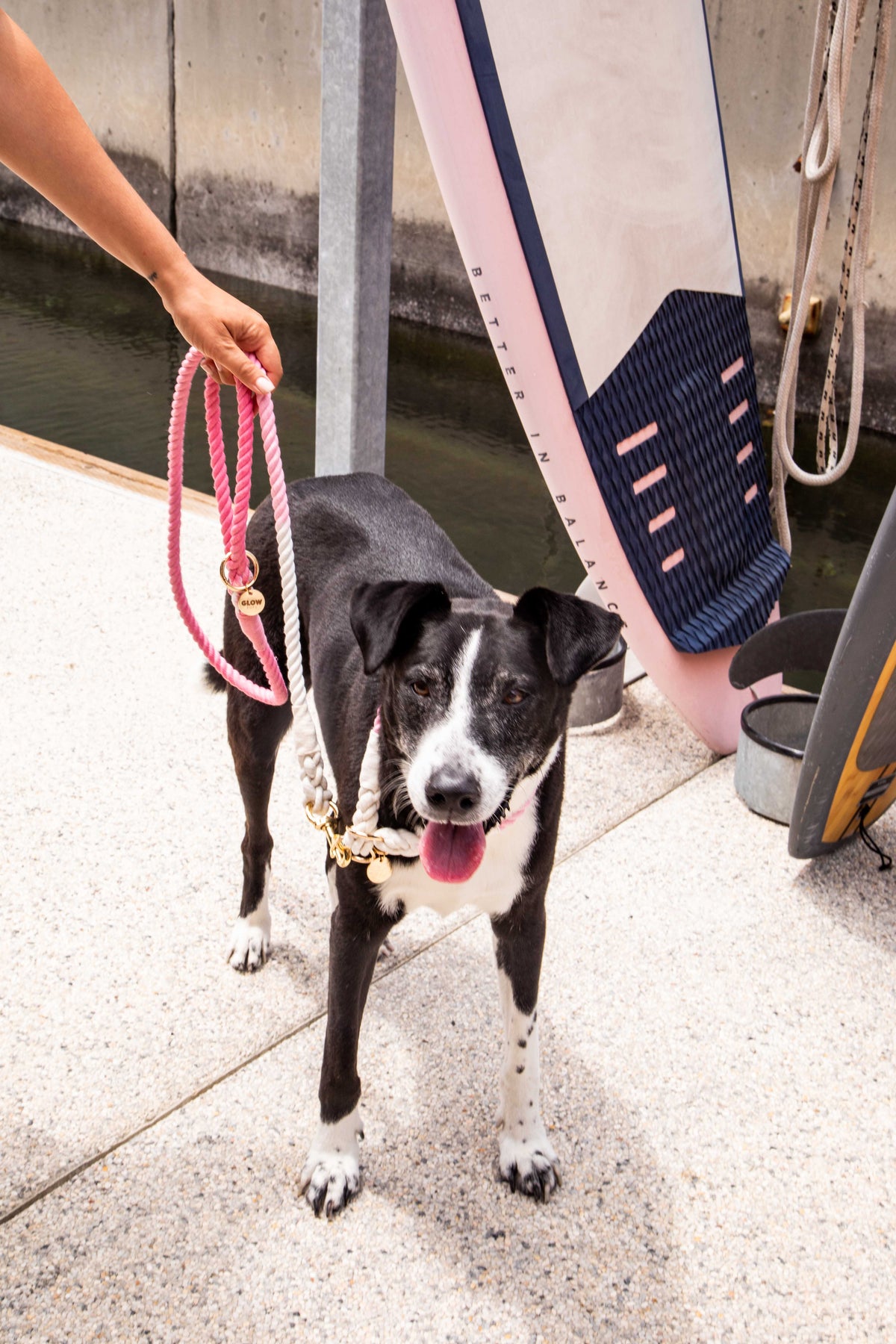Glow Pups: Pink and White Tie Dye Slip Dog Collar