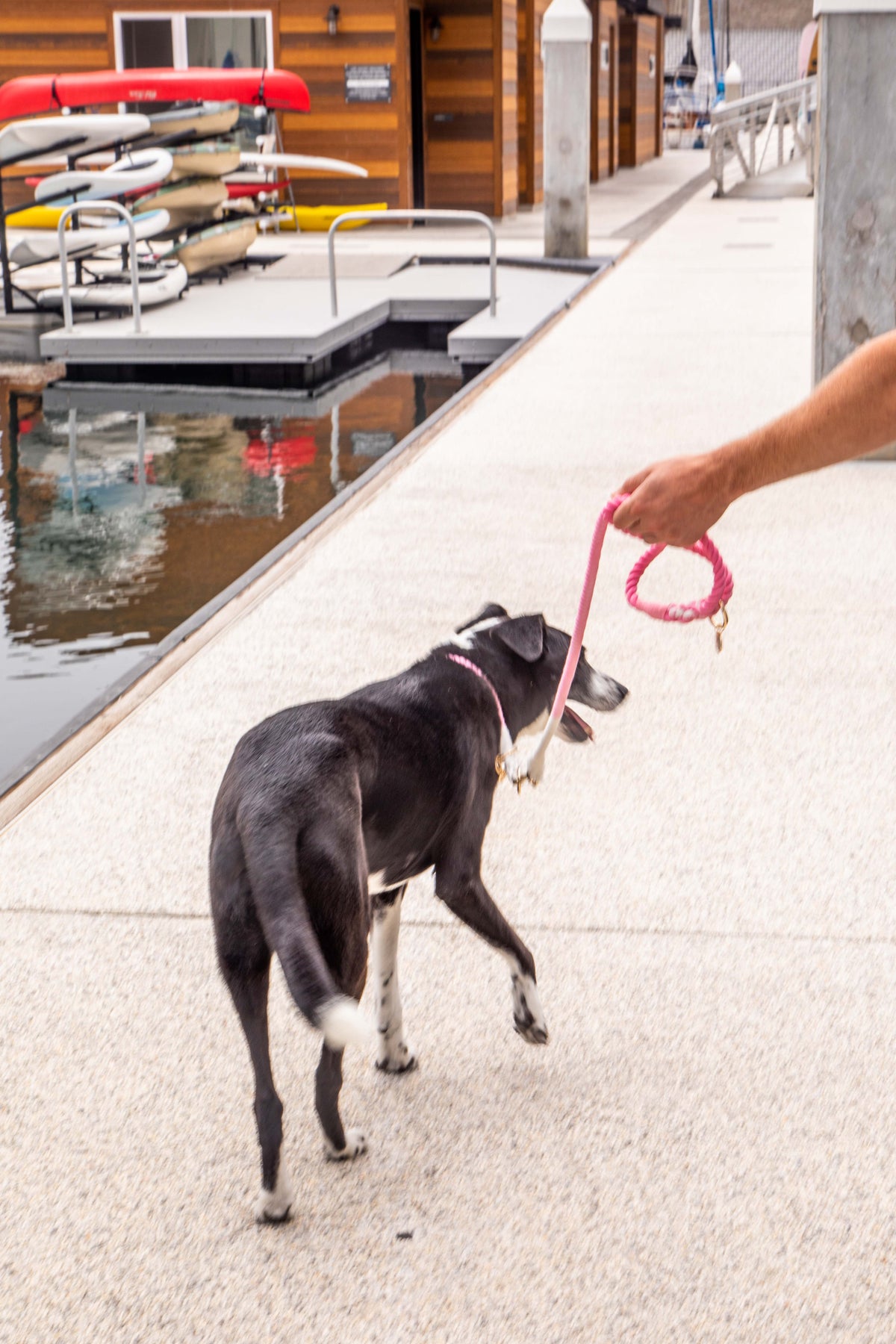 Glow Pups: Pink and White Tie Dye Slip Dog Collar