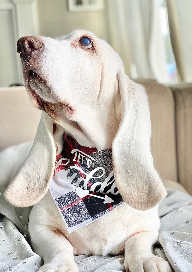 Lets Cuddle Luxe Flannel Dog Bandana