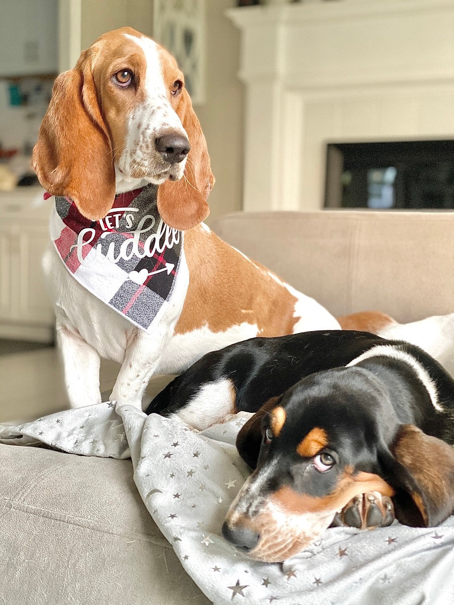 Lets Cuddle Luxe Flannel Dog Bandana