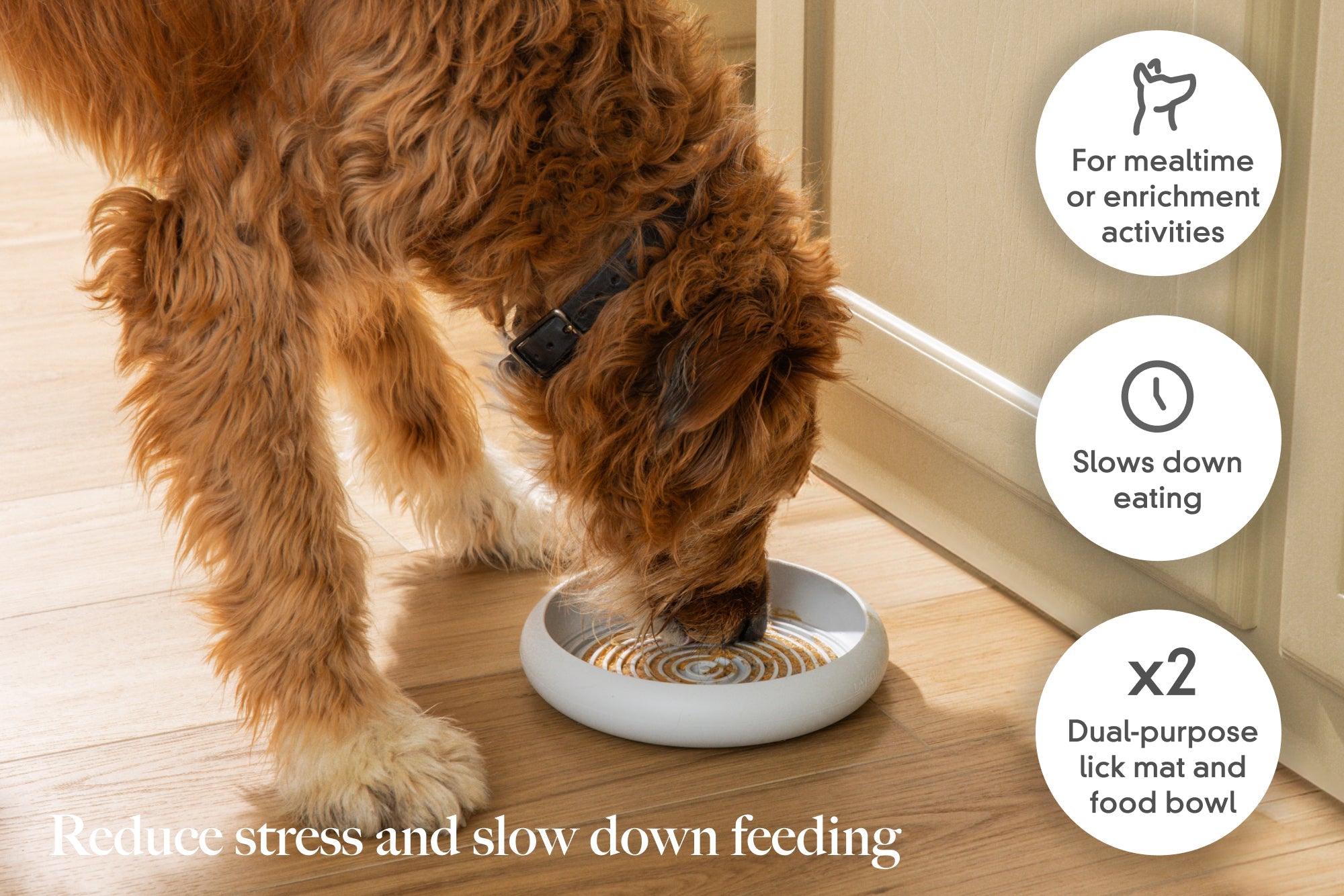 LAY LO Enrichment Lick Mat & Food Bowl - HT Animal Supply
