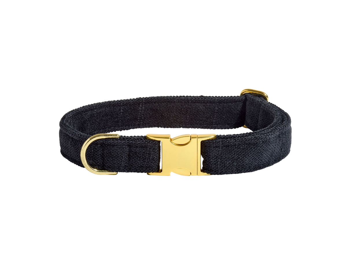 Bowsers Designer Buckle Dog Collar - Secure Everyday Fit and Designer Style