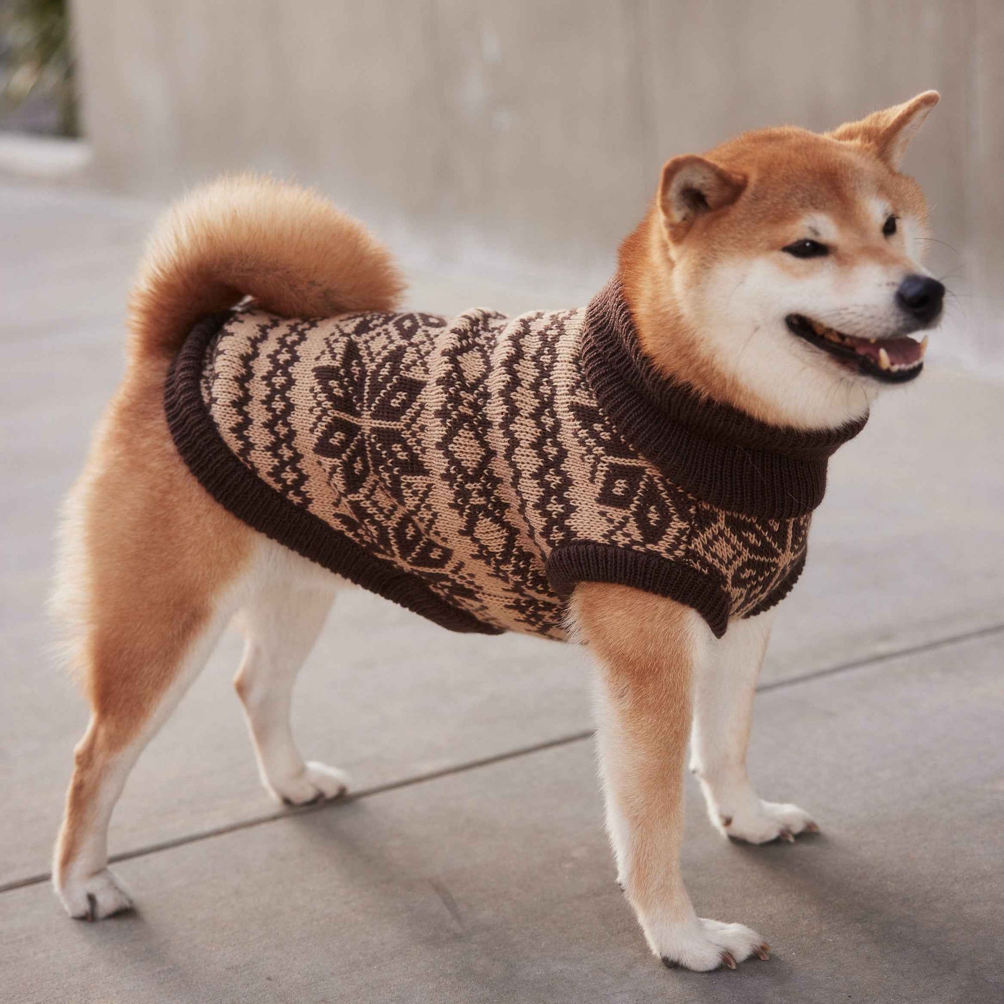 The Latte | Beige Turtleneck Dog Sweater
