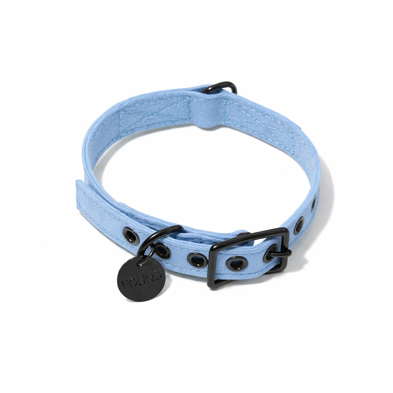 Light Blue Waxed Cotton Canvas Cat & Dog Collar – Matte Black Hardware