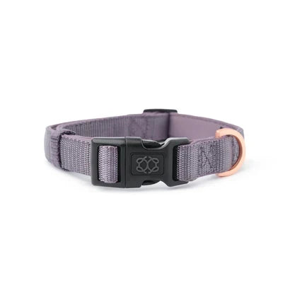 DOGISTRY City Dog Collar - Lilac Gray