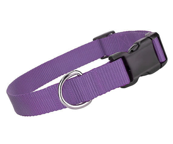 Parisian Pet Nylon Collar for Dogs & Cats – Comfortable Adjustable Fit for Small Pets, Lilac