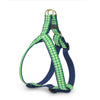 Up Country Lime Gingham Dog Cast Brass Dog Harness