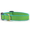 Color Market Dog Collar - Narrow