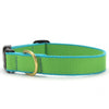 Up Country Color Market - Narrow Cast Brass Dog Collar