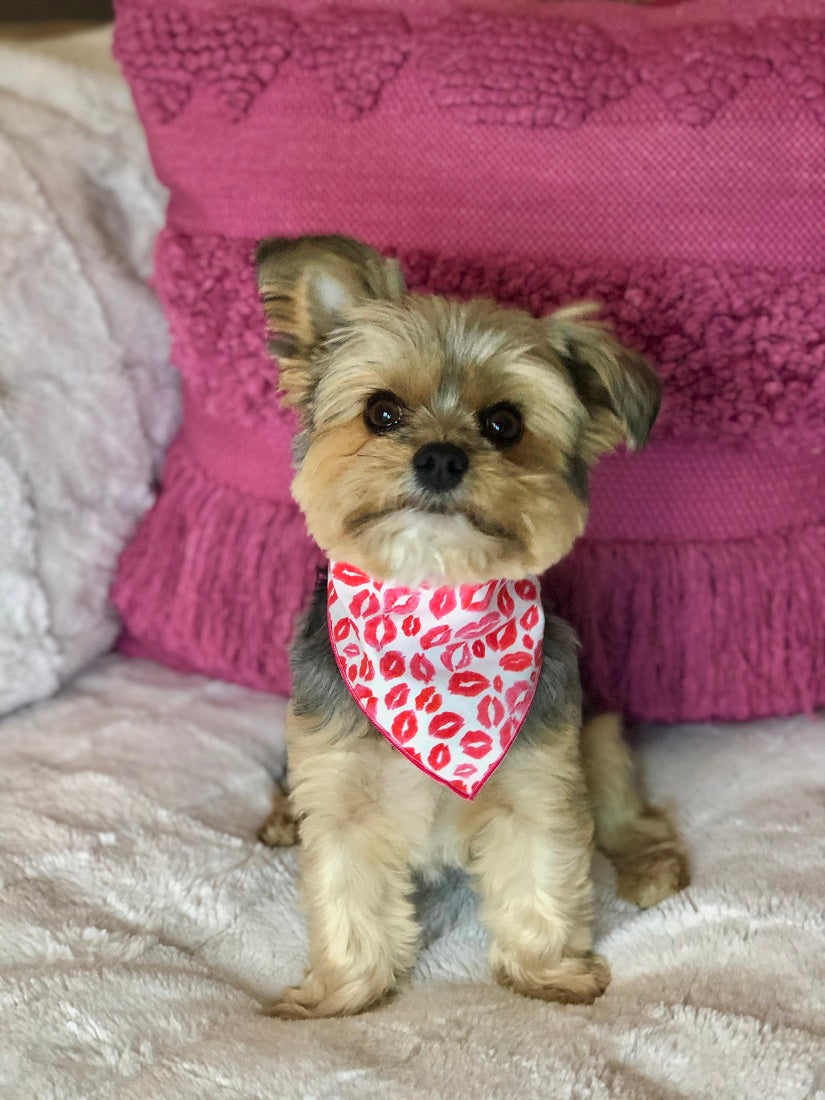 Lips & Kisses Valentine Bandana