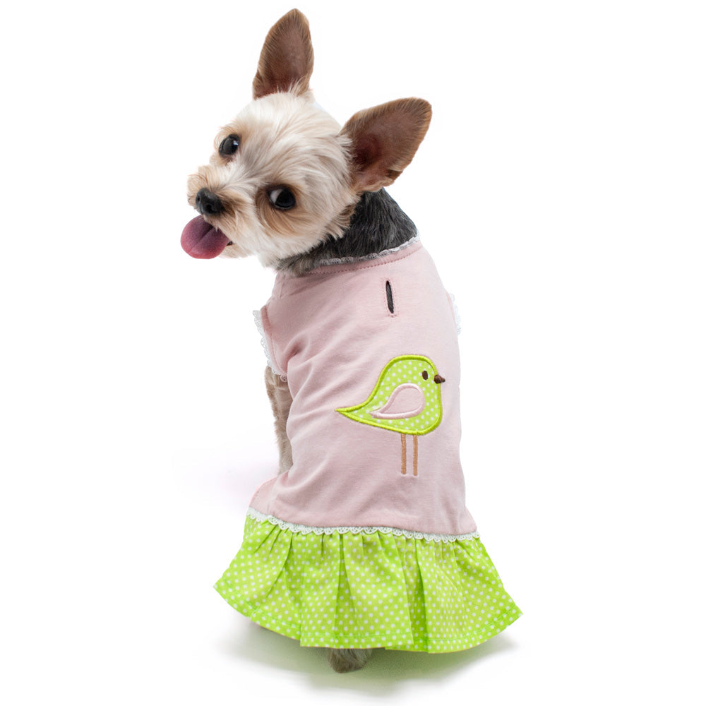 DOGO Little Birdy Dog Dress