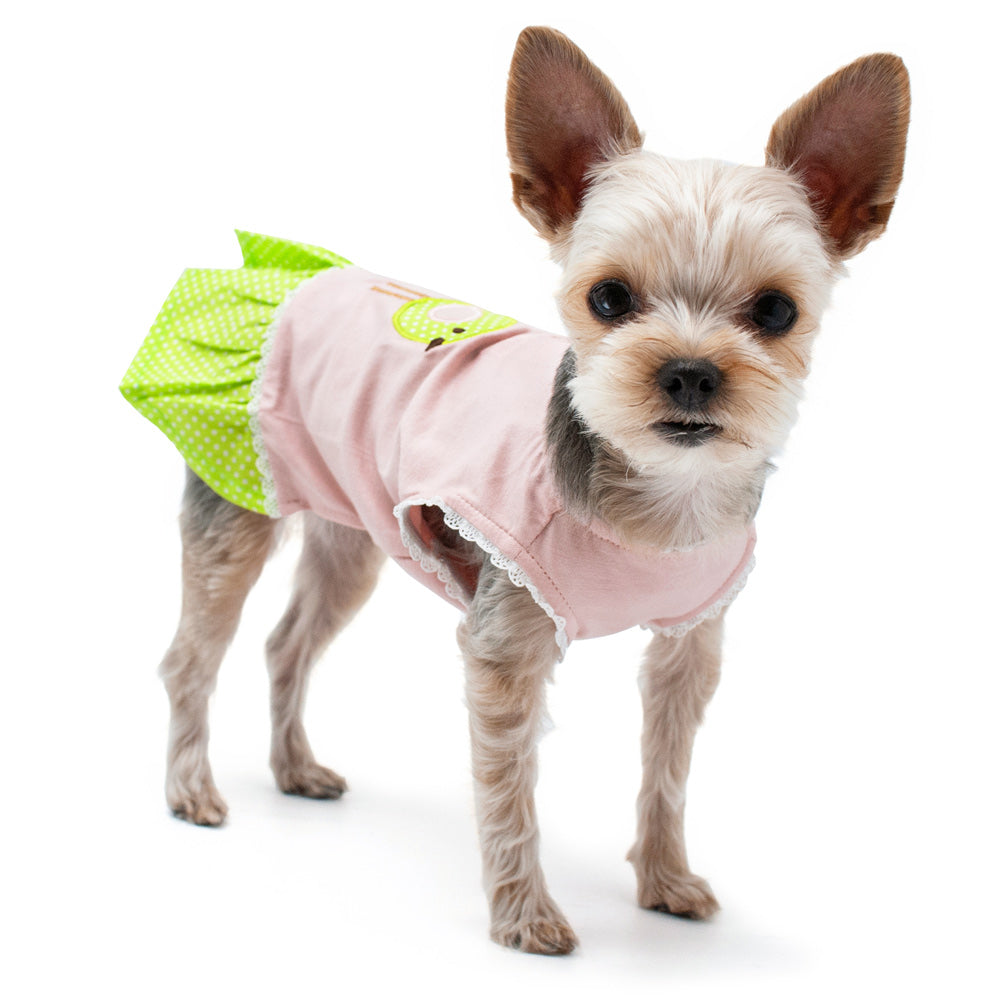 DOGO Little Birdy Dog Dress