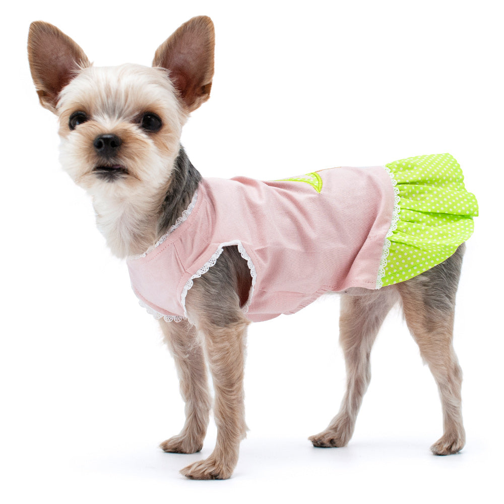 DOGO Little Birdy Dog Dress