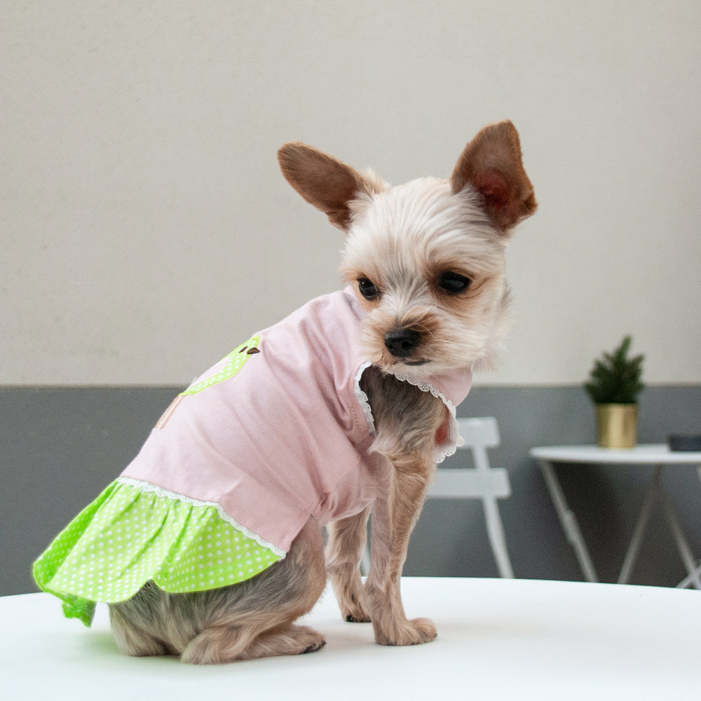 DOGO Little Birdy Dog Dress