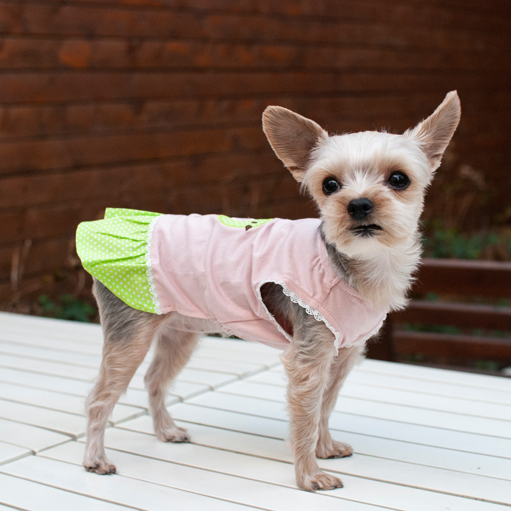 DOGO Little Birdy Dog Dress