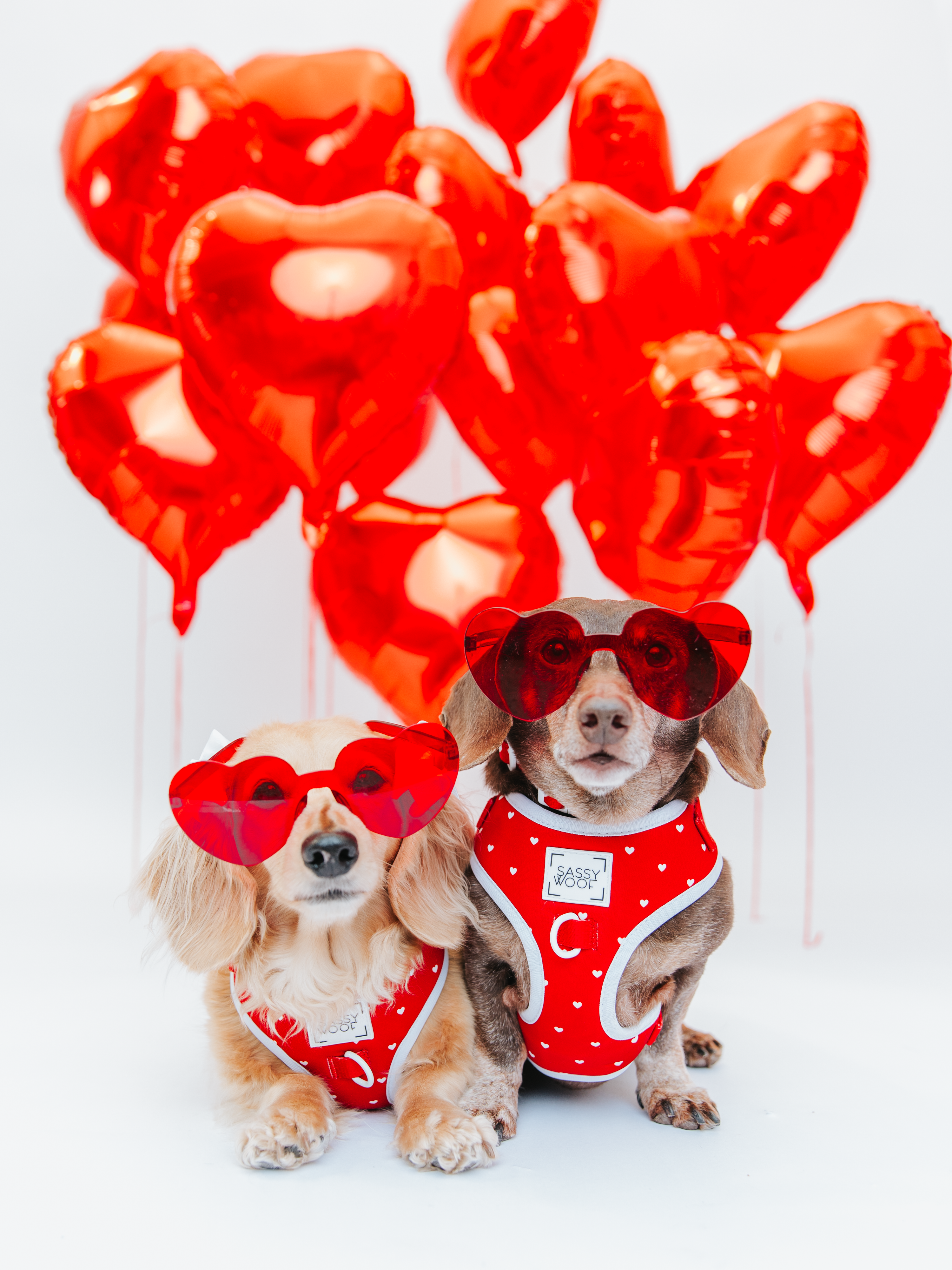 Dog Adjustable Harness - Little Love