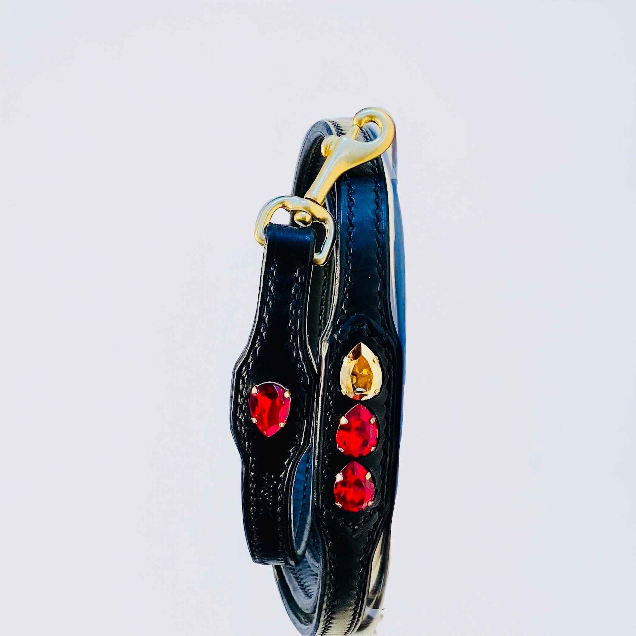 Liz Leash LaFerrari