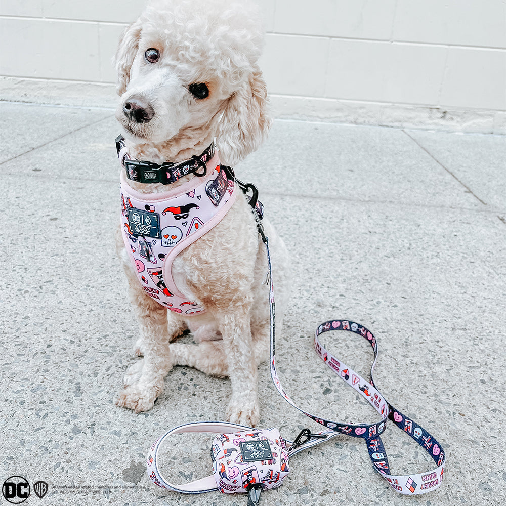 Dog Adjustable Harness - Harley Quinn™
