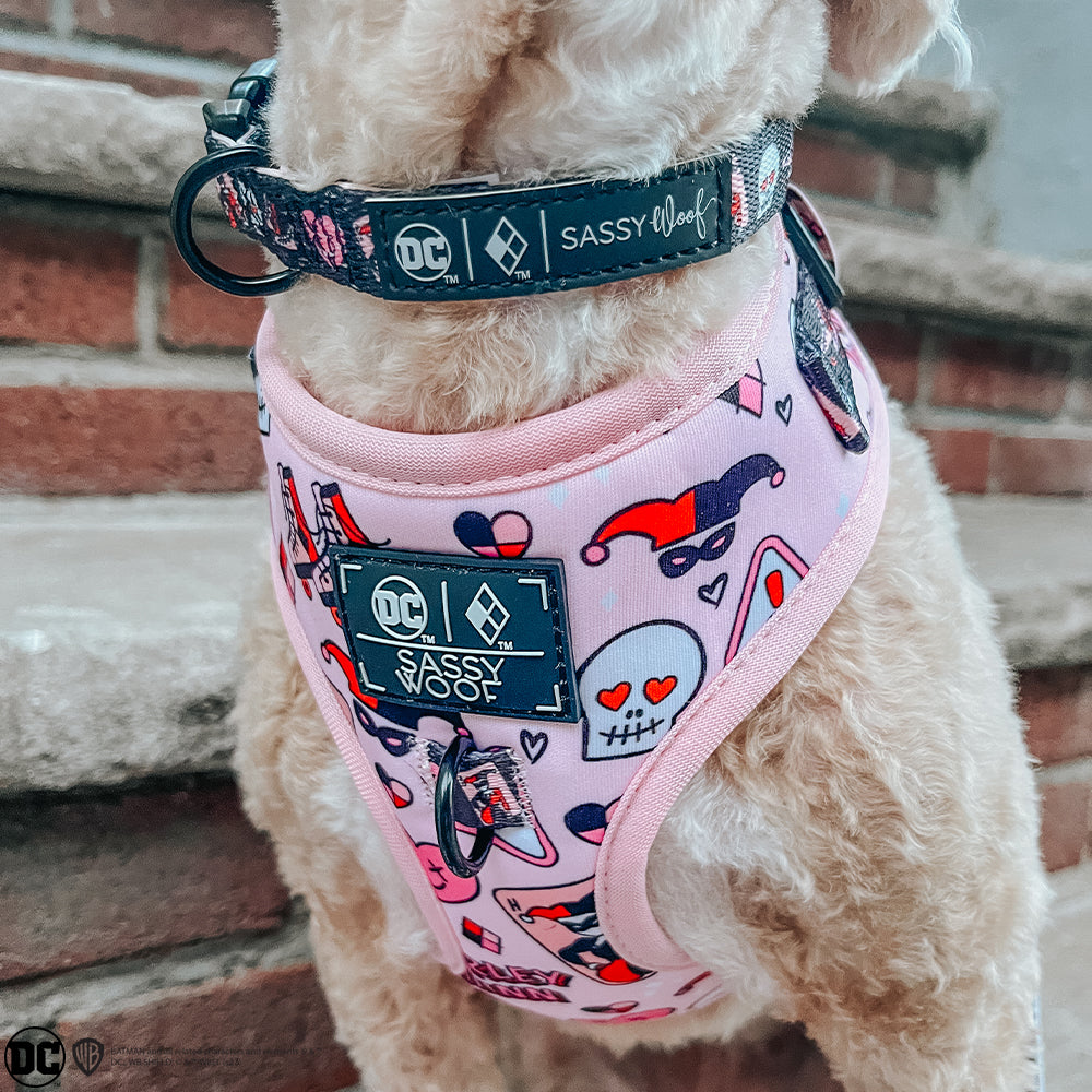 Dog Adjustable Harness - Harley Quinn™