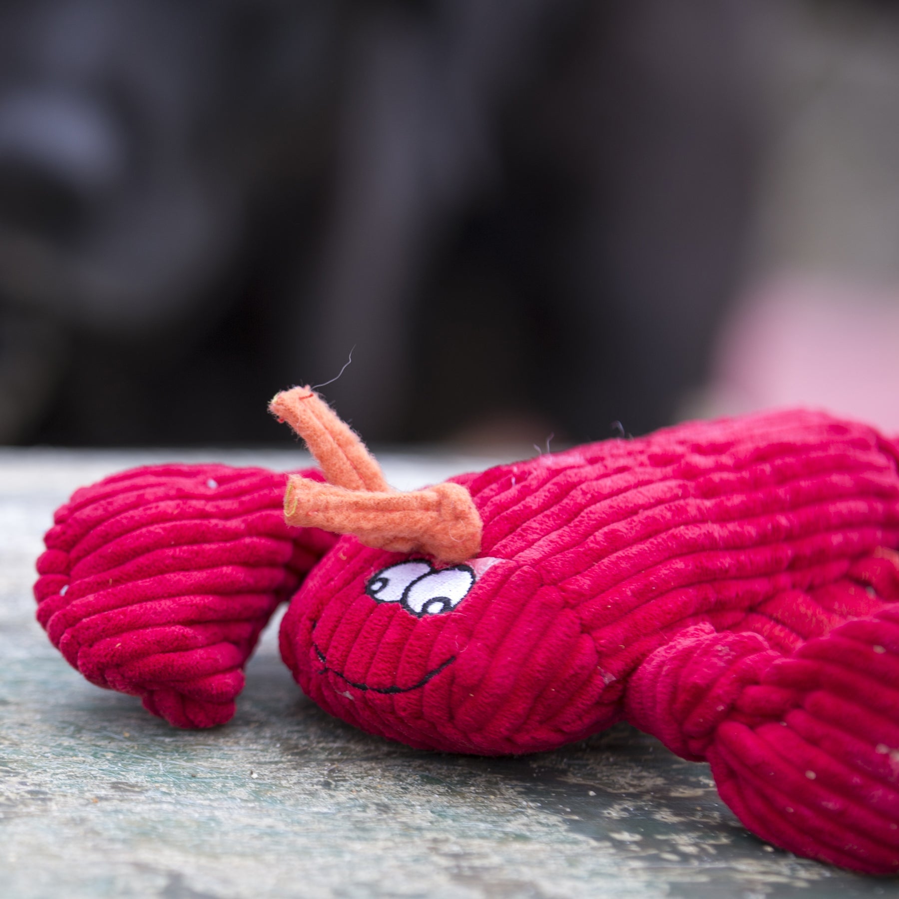 McCracken LobstaTM Knottie Plush Dog Toy