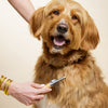 Dematting Rake for Dogs - Dematting Tool